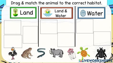 Land, Water or Both Animals Sorting Activity .